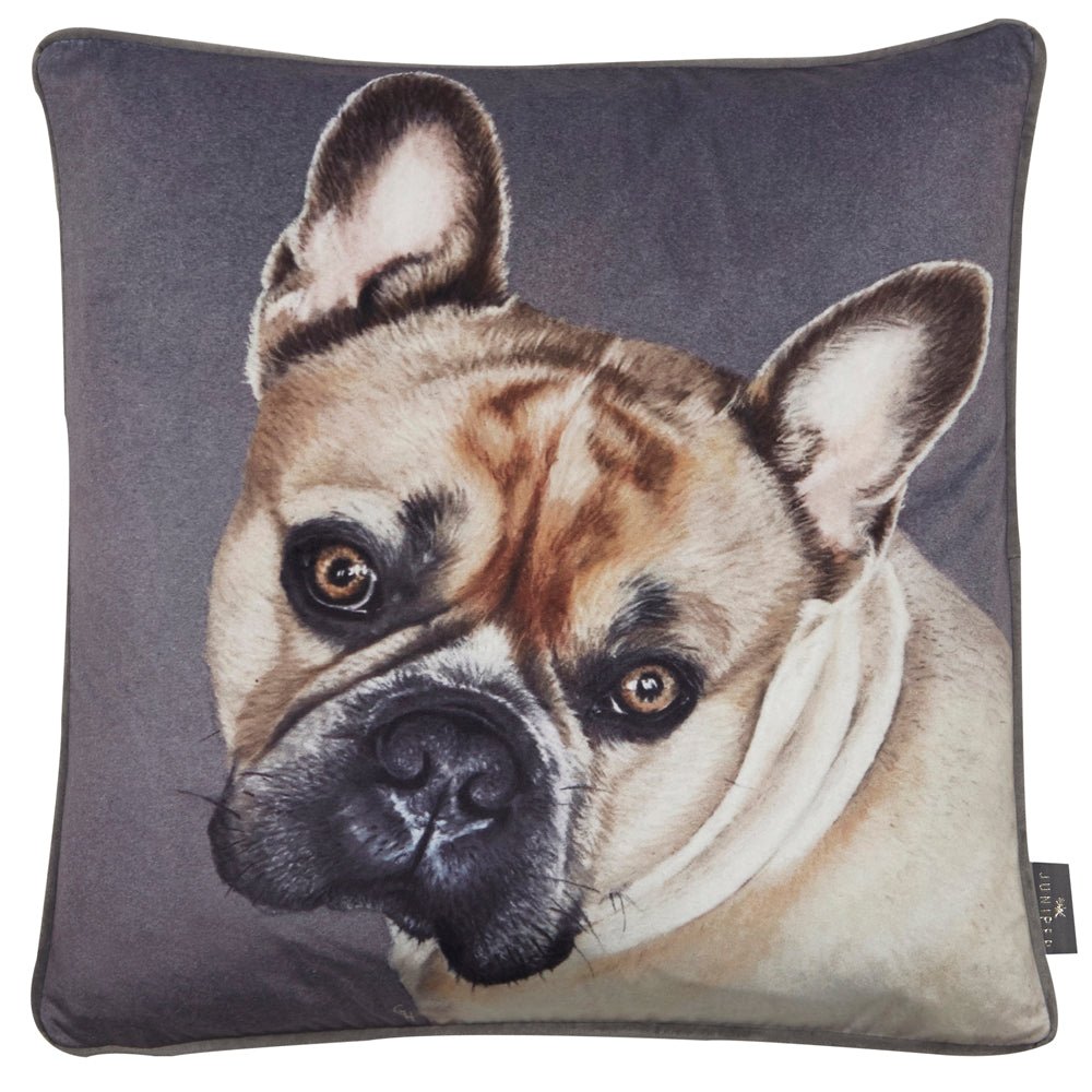 Malini Carrie Cushion Nicholas John Interiors